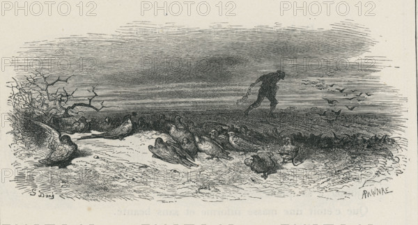 Fable "L'hirondelle et les petits oiseaux"