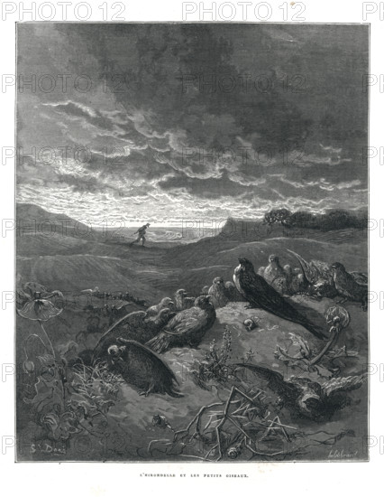 Fable "L'hirondelle et les petits oiseaux"