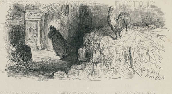 Fable "La Vieille et les deux servantes"