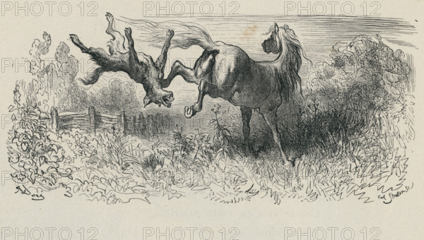 Fable "Le Cheval et le Loup"