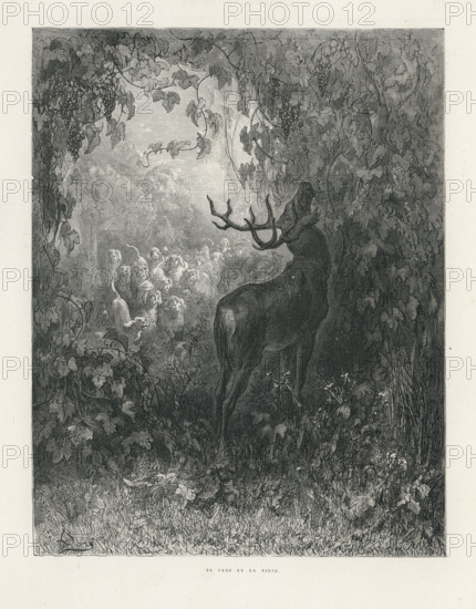 Fable of La Fontaine 'The Stag and the Vine'