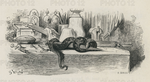 Fable of La Fontaine 'The Snake and the File'