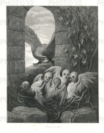 Fable of La Fontaine 'The Eagle and the Owl'