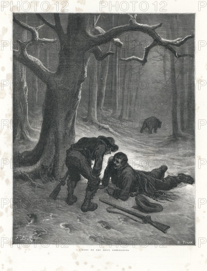Fable of La Fontaine 'The Bear and the Two Companions'