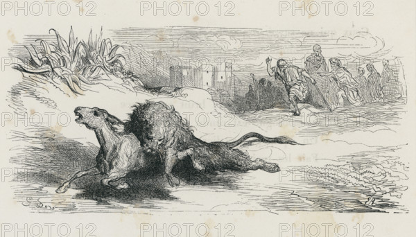 Fable of La Fontaine 'The Ass in the Lion’s Skin'