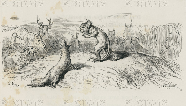 Fable of La Fontaine 'The Fox, the Monkey, and the Animals'