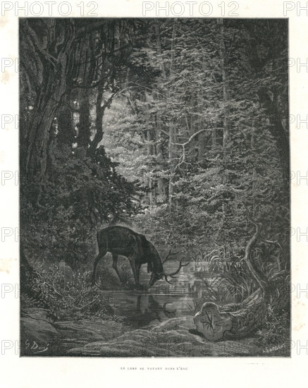 Fable of La Fontaine 'The Stag at the Pool'