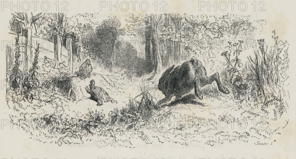 Fable "Le Lièvre et la Tortue"