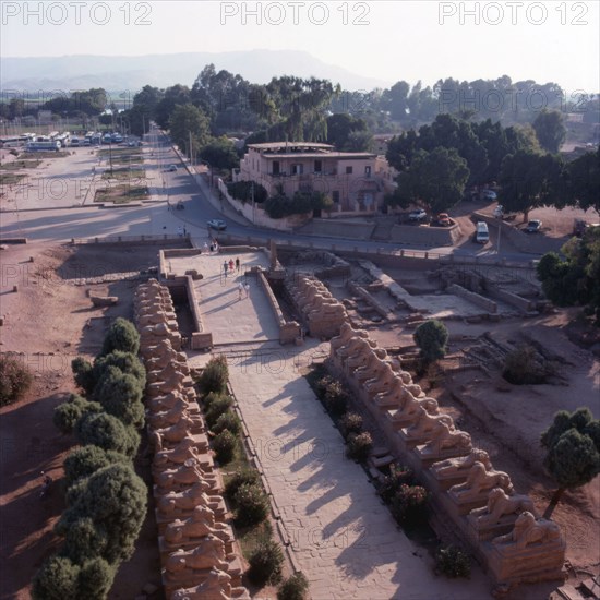 Karnak, Temple d’Amon-Rê, allée processionnelle de sphinx