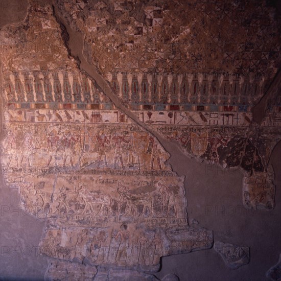 El Kab, Tombe de Pahéri, scènes de recensement des produits agricoles