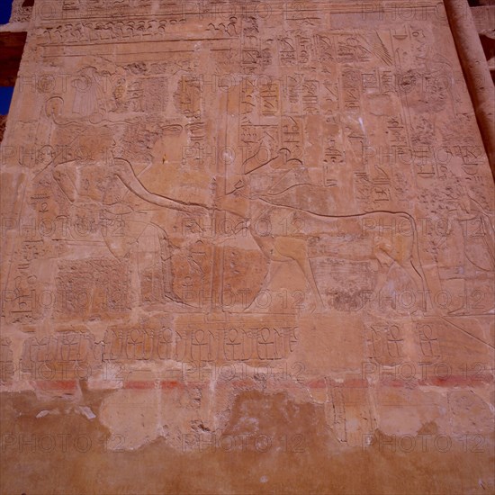 Deir el-Bahari, Temple of Hatshepsut, chapel of Hathor, the queen receiving the goddess Hathor in her naos