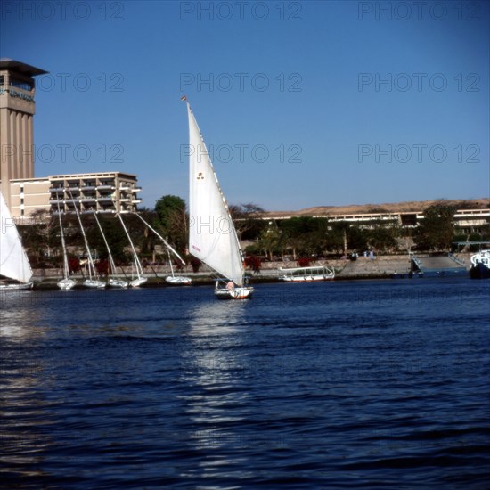 The Nile - feluccas