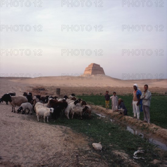 Herd of goats with goatherds
