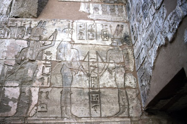 Medinet Habu, Divine female worshipper