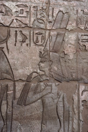 Medinet Habu, Divine female worshipper