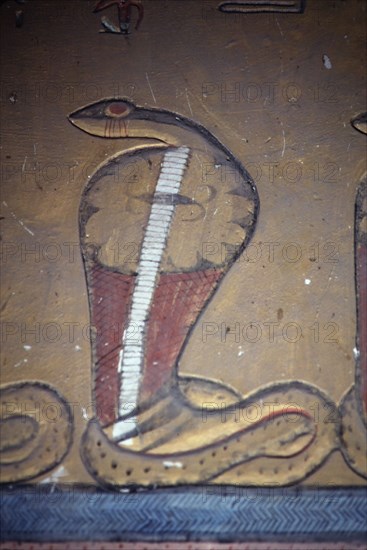 Tombe de Ramsès IV, Cobra