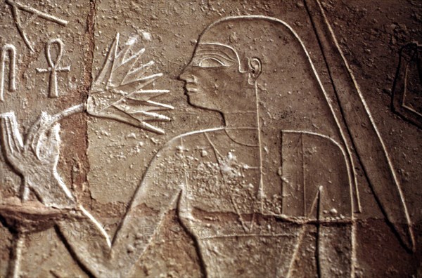 Mastaba Merseankh, Epouse royale avec bouton de lotus