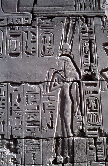 Karnak, Reine avec sceptre végétal