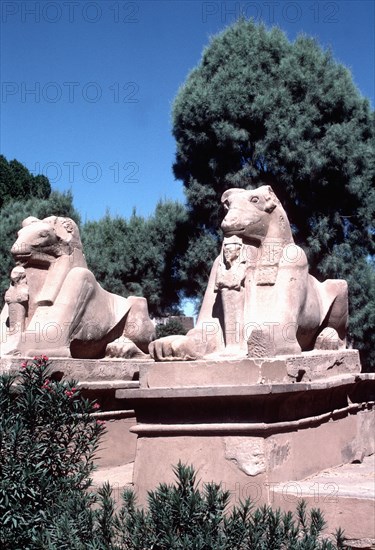 Karnak, Sphinx à tête de bélier