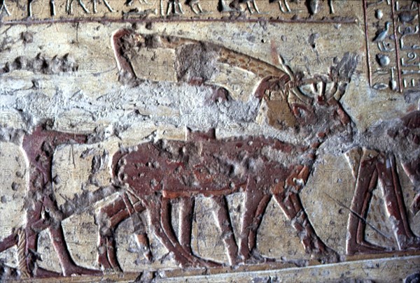 El Kab, Tomb of Paheri, Farming scenes