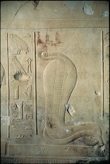 Abydos, Cobra royal