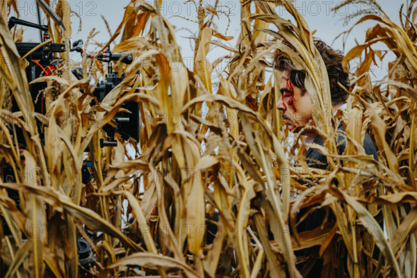 The Phoenician Scheme