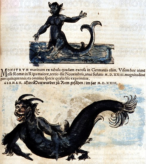 Conrad Gesner, Manuscrit "Historiae animalium", livre II : "Quadrupedipus oviparis"