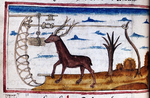 Manuscript. Henry de Ferrières, "Le livre du Roy Modus et de la Royne Ratio": Saint Hubert's stag