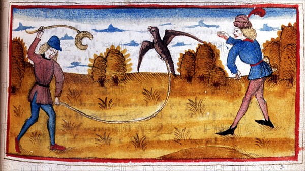 Manuscrit. Henry de Ferrières, "Le livre du Roy Modus et de la Royne Ratio", falconry scene