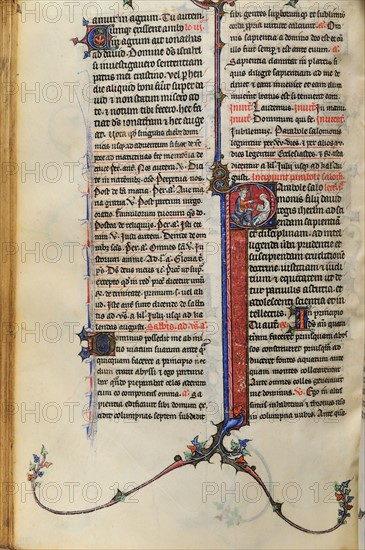 Salomon dictant