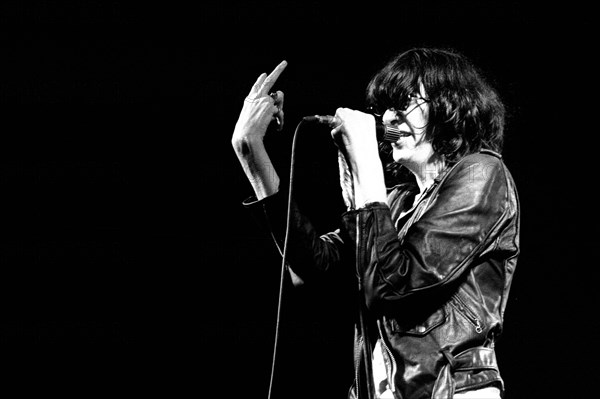 The Ramones on stage, 1978