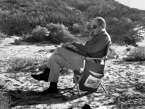 John Sturges