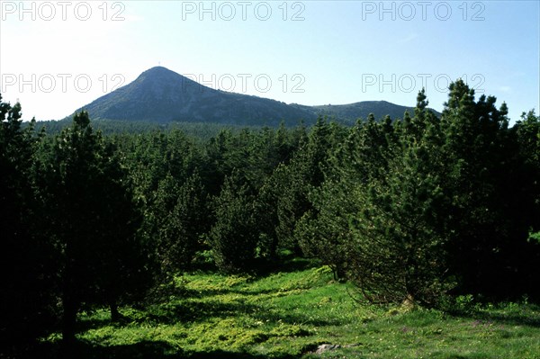Vue de la croix de Peccata en direction du mont Mézenc