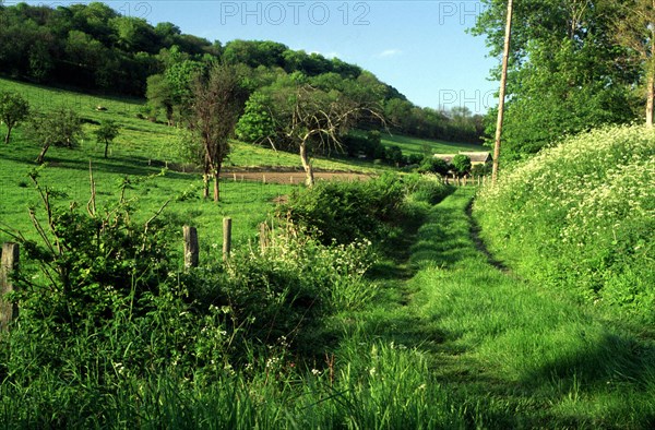 Chemin à gauche l'allée du Fond du Val, en direction  de l'est du vallon