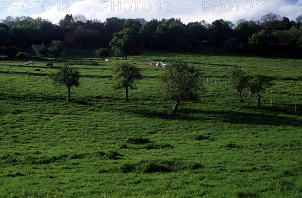 Vue de l'allée du Fond du Val en direction du Centre Universitaire