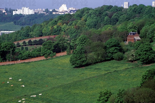 Close-up view, from atop the Rue des Voûtes towards the Southwest