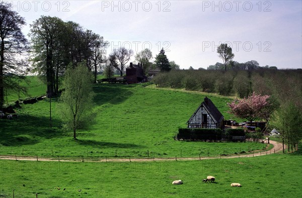 Sainte-Geneviève-en-Caux, view from the church of the houses below