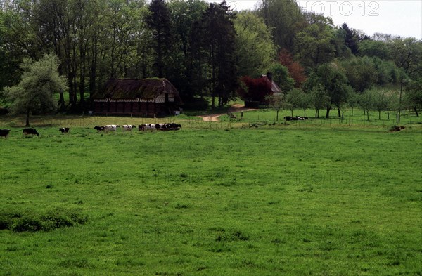 Sainte-Geneviève en Caux, château des Etangs, bâtiments du domaine