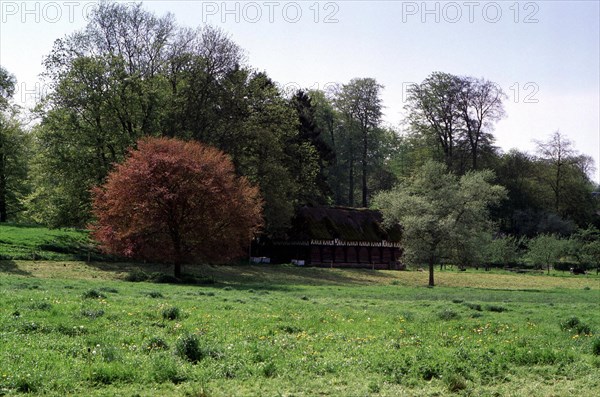 Sainte-Geneviève-en-Caux, Château des Etangs, buildings on the property