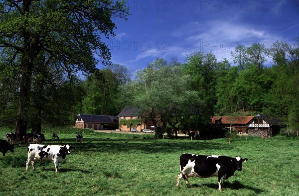 Sainte-Geneviève en Caux, remise du château des Etangs