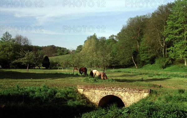 Saint-Mards, view from the D23 road towards the D76