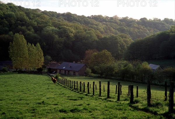 View from the D5 road towards La Poucheterie