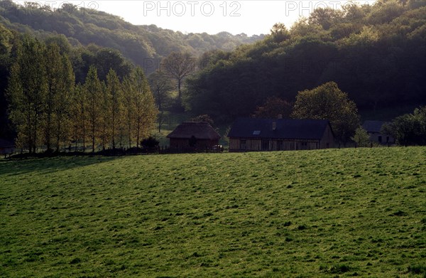 Vue de la D5 en direction de la Poucheterie