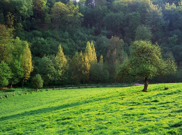 View from the D5 road towards La Poucheterie