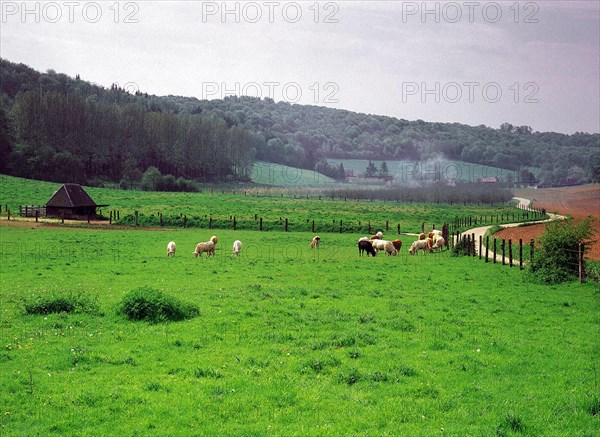 View from the D289-D104 intersection, towards La Folletière