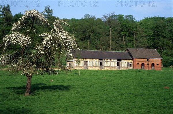 Val-au-Cesne, thatched houses between the D5 and D89 roads, east side