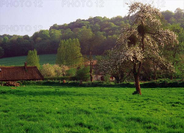 Val-au-Cesne, vue de la D89 en direction du Verbosc