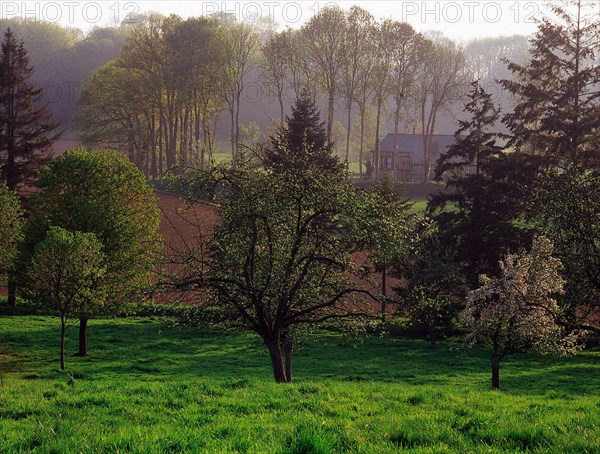 Val-au-Cesne, view from the D89 towards Le Verbosc