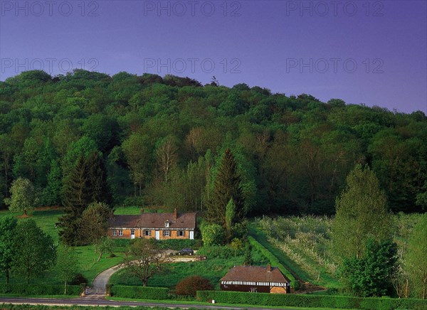 Val-au-Cesne, maisons entre la D5 et la D89, côté ouest