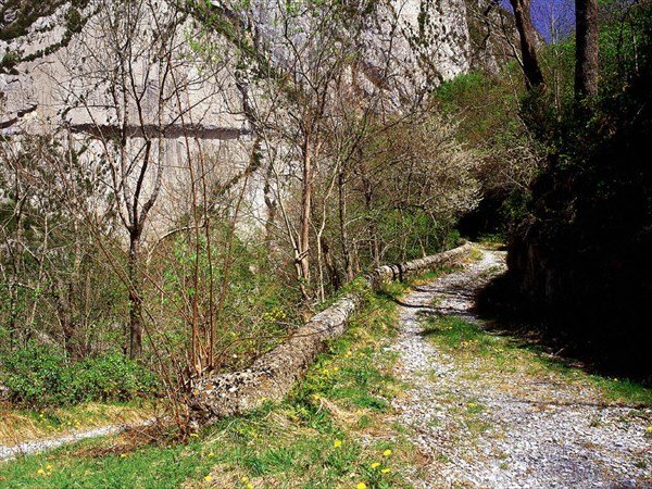 Chemin de la Mâture vu depuis la route d'accès au Fort